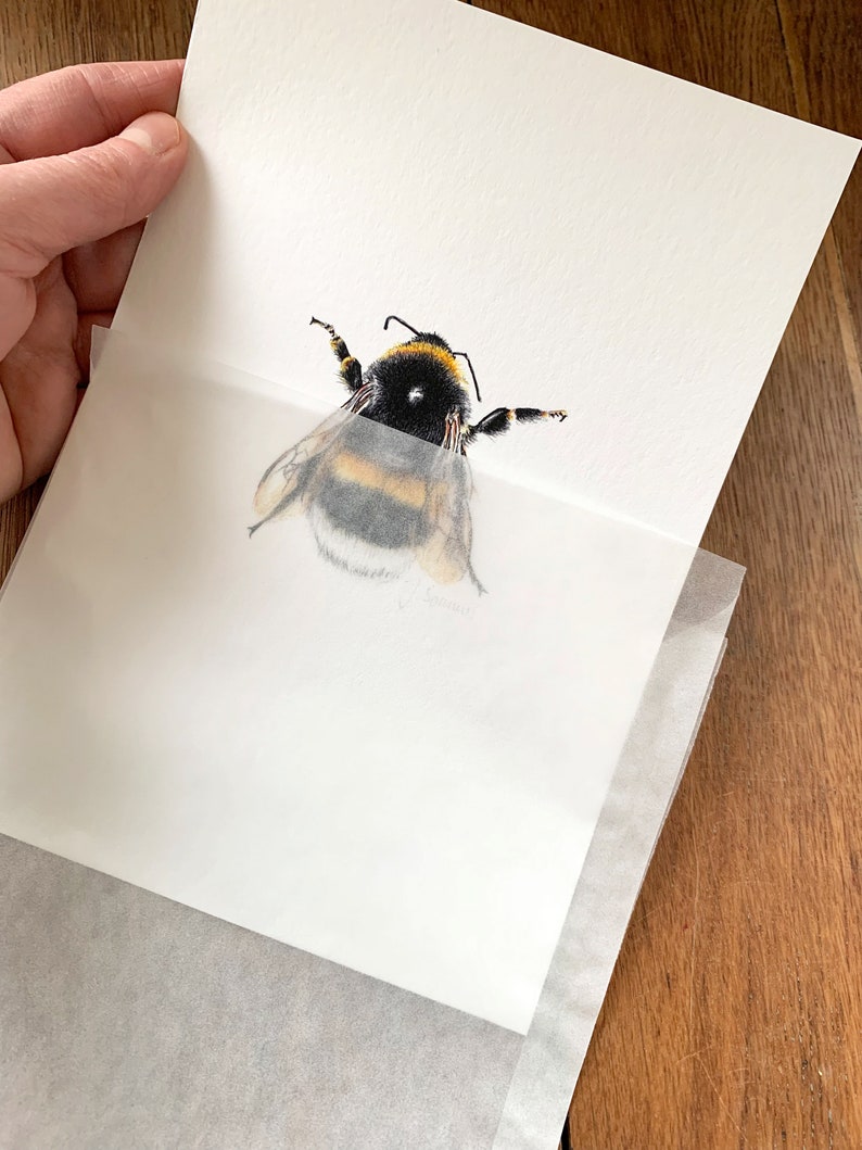 Dark bumblebee drawing, small fine art print bumblebee, giclée print poster wild bees image 7