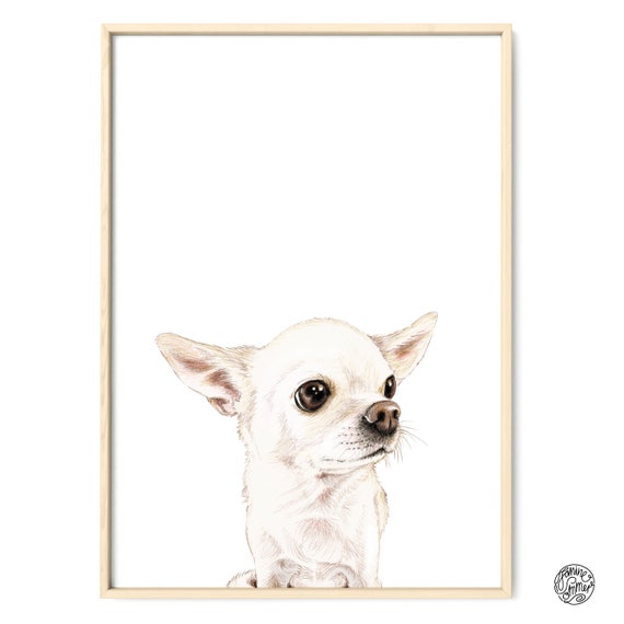 Chihuahua Chihuahua Dibujo Perro Retrato Retrato Dibujo Bellas - Etsy México