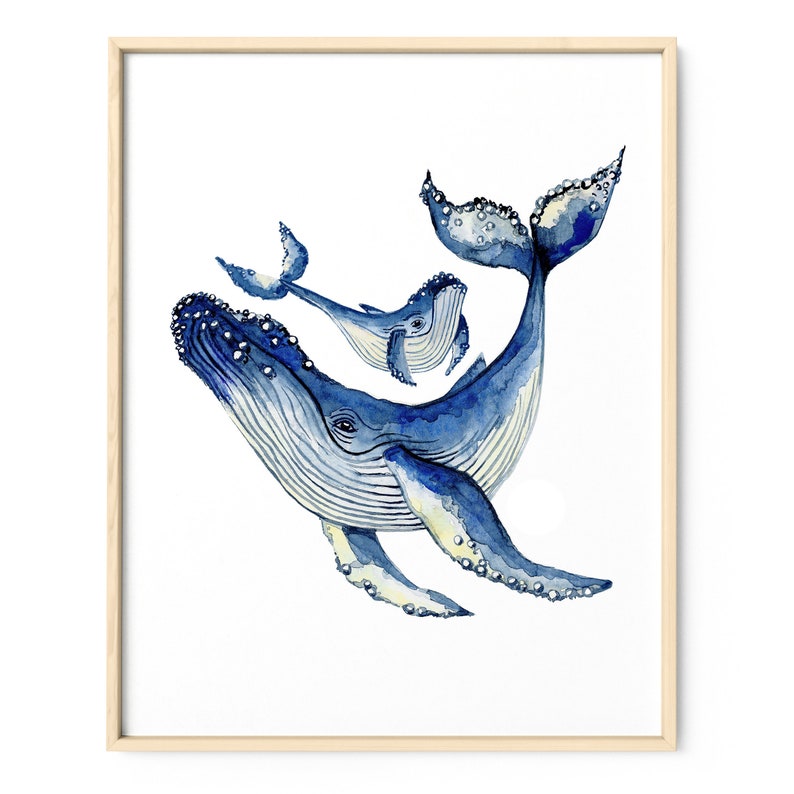 Watercolor Humpback Whale Drawing Fine Art Print, Giclée Print Poster Janine Sommer Animal Drawing image 6