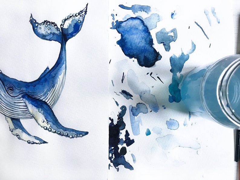 Watercolor Humpback Whale Drawing Fine Art Print, Giclée Print Poster Janine Sommer Animal Drawing image 3