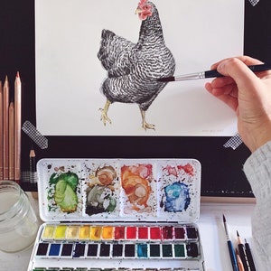 Amrocks Chickens Portrait Drawing Fine Art Print, Giclée Print, Illustration Poster Janine Sommer Animal Drawing Chicken Drawing image 2