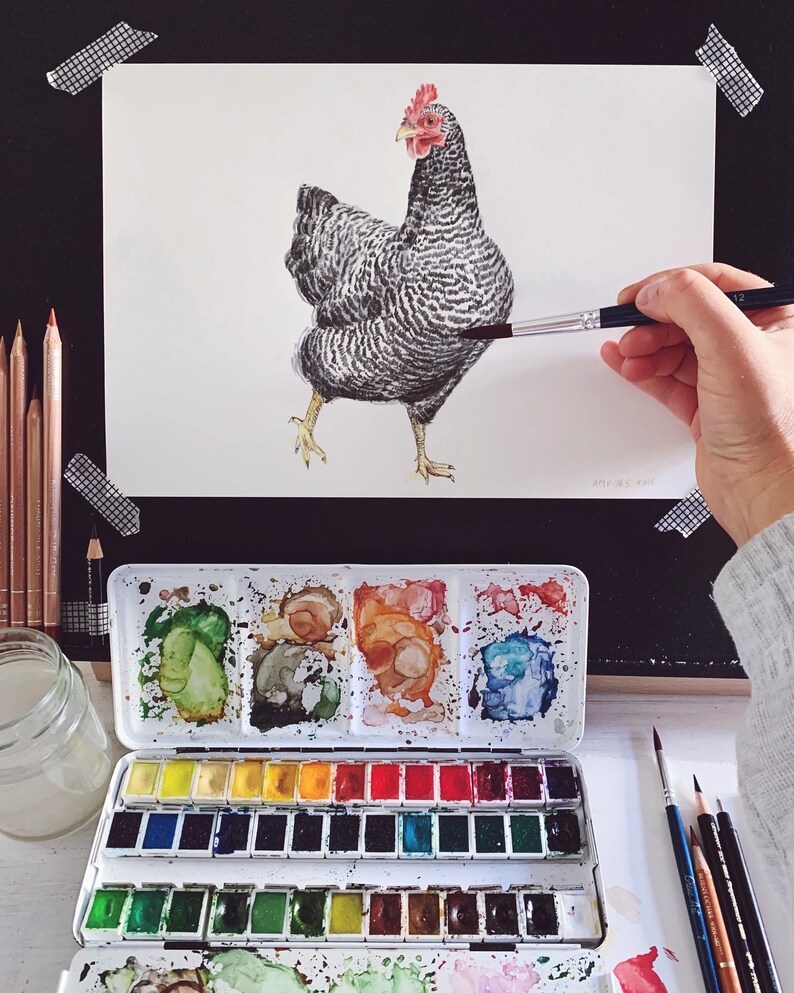 Amrocks Chickens Portrait Drawing Fine Art Print, Giclée Print, Illustration Poster Janine Sommer Animal Drawing Chicken Drawing image 2