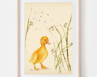 Ducklings Fine Art Print, Giclée Print Illustration Janine Sommer Nature Illustration, Botany, Meadow, Easter Decoration,