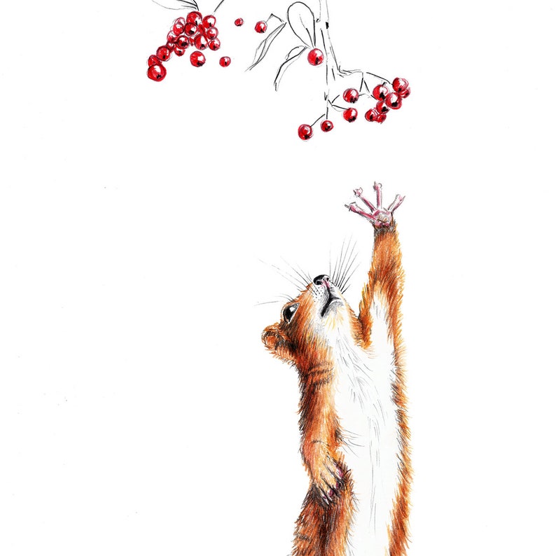 Eichhörnchen mit Beeren Eichhörnchenzeichnung Porträt Zeichnung Fine Art Print, Giclée Print Illustration Poster Janine Sommer Tierzeichnung Bild 2