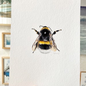 Dark bumblebee drawing, small fine art print bumblebee, giclée print poster wild bees image 6