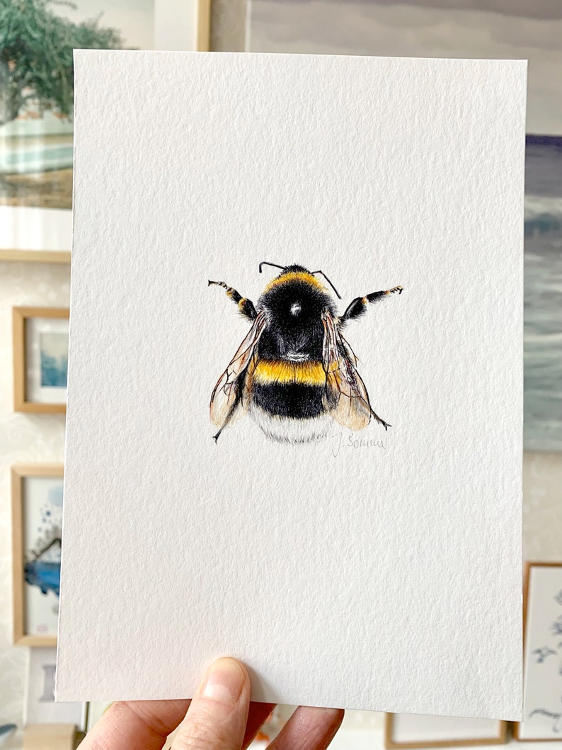 Dark bumblebee drawing, small fine art print bumblebee, giclée print poster wild bees image 6