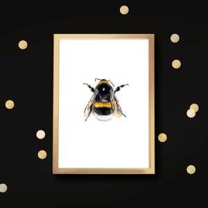Dark bumblebee drawing, small fine art print bumblebee, giclée print poster wild bees image 3