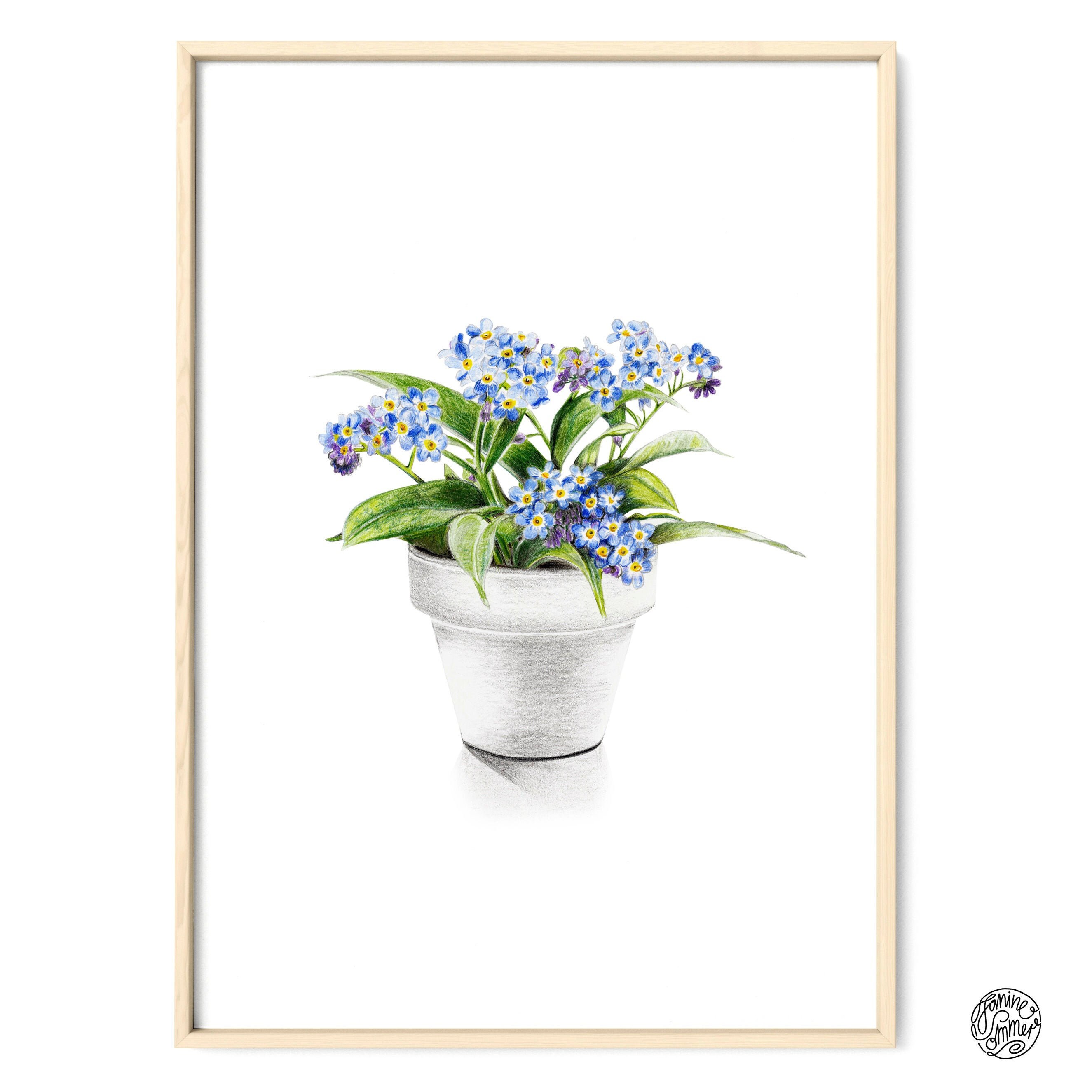 Illustration Forget Me Not Drawing Poster Art Print Etsy Australia