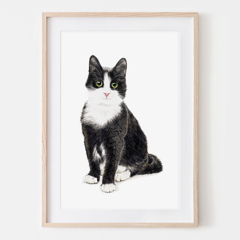 Katze Murmelauge Porträt Zeichnung Fine Art Print, Giclée Print Illustration Poster Janine Sommer Tierzeichnung Katzenposter Bild 1