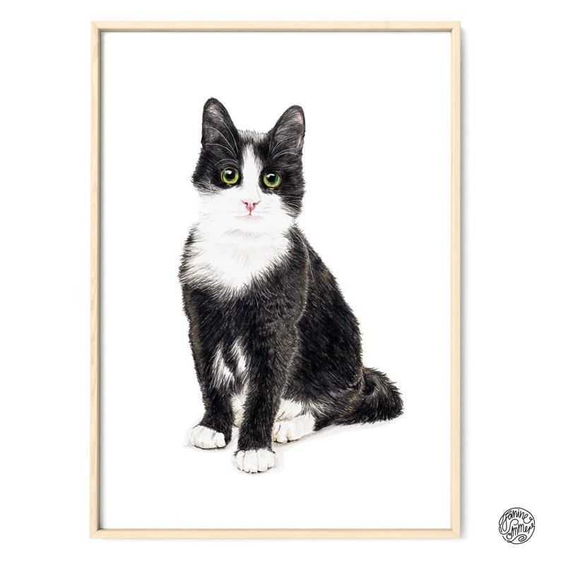 Katze Murmelauge Porträt Zeichnung Fine Art Print, Giclée Print Illustration Poster Janine Sommer Tierzeichnung Katzenposter Bild 6