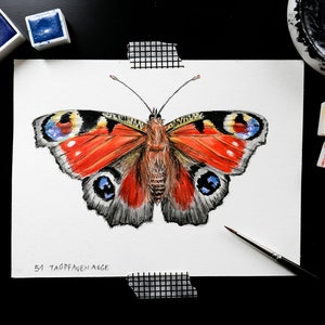 Oeil de paon papillon dessin Fine Art Print, Giclée Print Illustration affiche Janine Sommer Animal dessin animaux dans le jardin image 4