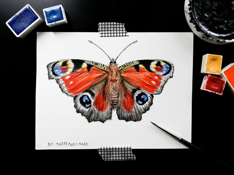 Pfauenauge Schmetterling Zeichnung Fine Art Print, Giclée Print Illustration Poster Janine Sommer Tierzeichnung Tiere im Garten 画像 4