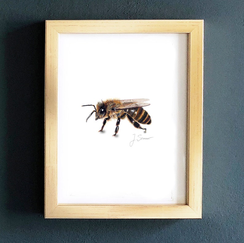 Dessin latéral dabeille, petite abeille imprimée dart, affiche imprimée giclée image 2
