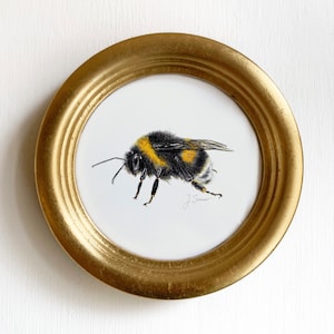 Dunkle Erdhummel seitlich, Zeichnung, kleiner Fine Art Print Hummel, Giclée Print Poster Wildbienen, von Hand gezeichnet