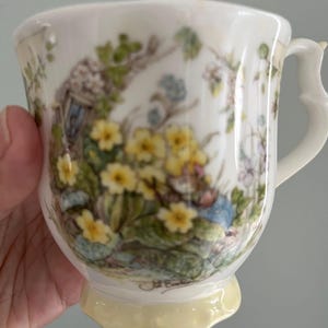 Royal Doulton Brambly Hedge - Etsy