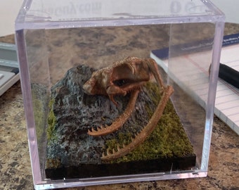 Reptilia . King Cobra . 3 inch cube . SLAxidermy . Diorama