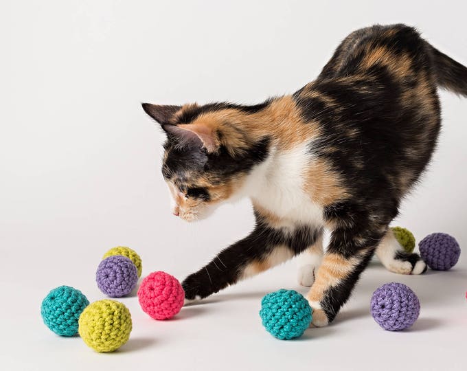 Fetch Cat Toy | Interactive Cat Toy | Ball Cat Toys with Bells