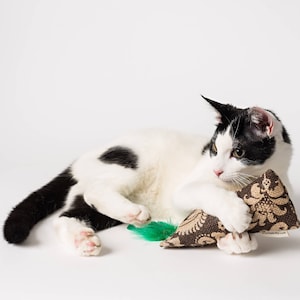 May include: A black and white cat playing with a brown and green cat toy. The cat toy is shaped like a cone and has a feather on the end.