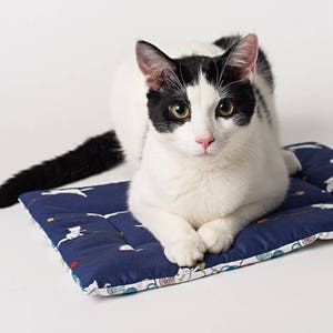 Catnip Yoga Mat Cat Bed catnip mat handmade cat toys catnip cat toys image 3