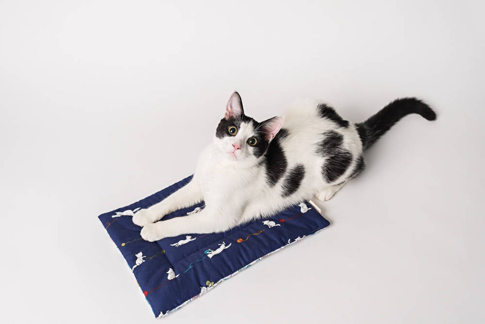 Catnip Yoga Mat Cat Bed Catnip Mat Handmade Cat Toys Catnip Etsy