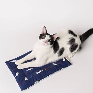 Catnip Yoga Mat Cat Bed catnip mat handmade cat toys catnip cat toys image 7