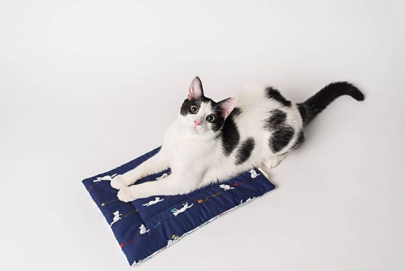 Catnip Yoga Mat Cat Bed Catnip Mat Handmade Cat Toys Catnip Cat Toys 