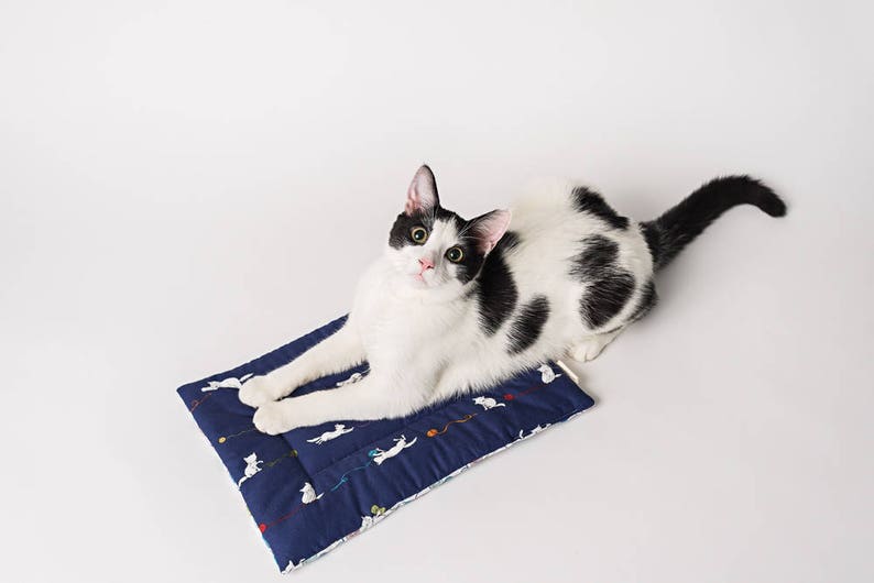 Catnip Yoga Mat Cat Bed catnip mat handmade cat toys catnip cat toys image 7