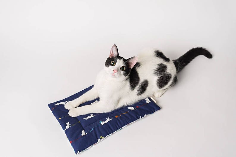 Catnip Yoga Mat Cat Bed Catnip Mat Handmade Cat Toys Catnip Etsy