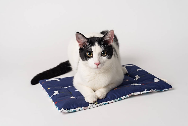 Catnip Yoga Mat Cat Bed catnip mat handmade cat toys catnip cat toys image 3