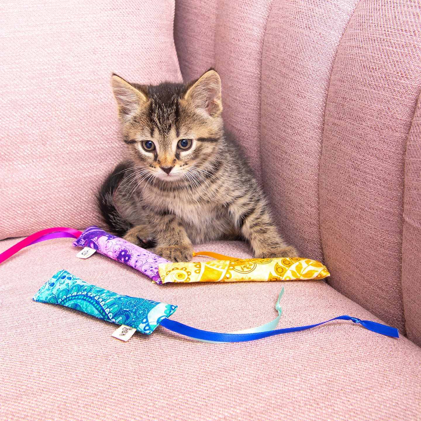 Ribbon Cat Toy 