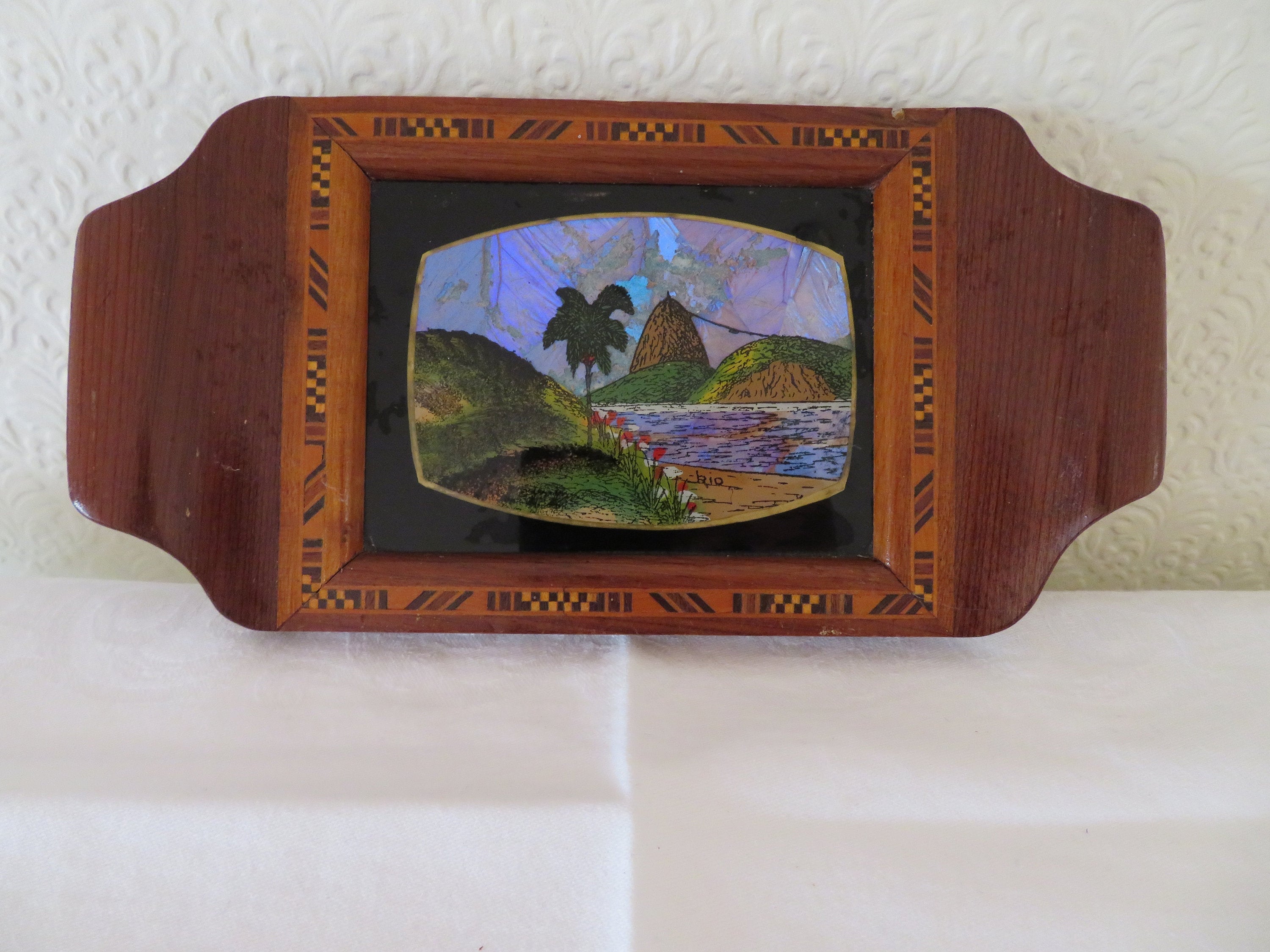 ヴィンテージ ブラジル製 モルフォ蝶/蛾の羽 ドリンクトレイ - 1930