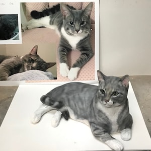 Ihre Grau Und Weiss Tiger Tabby Katze Benutzerdefinierte Katze Etsy