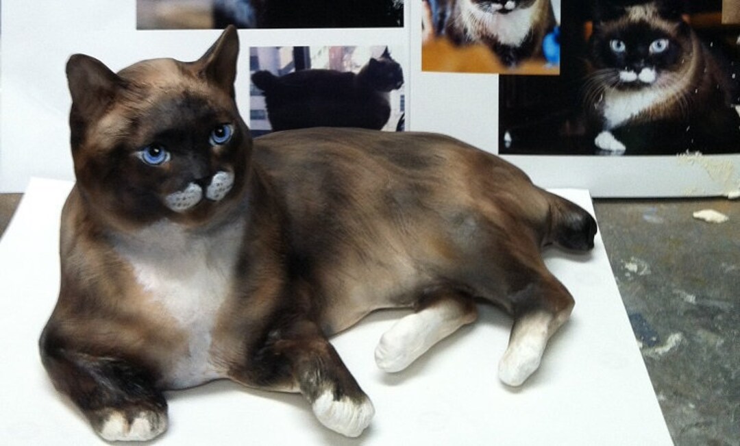 YOUR Snowshoe Himalayan or Persian Longhair CUSTOM Cat Etsy