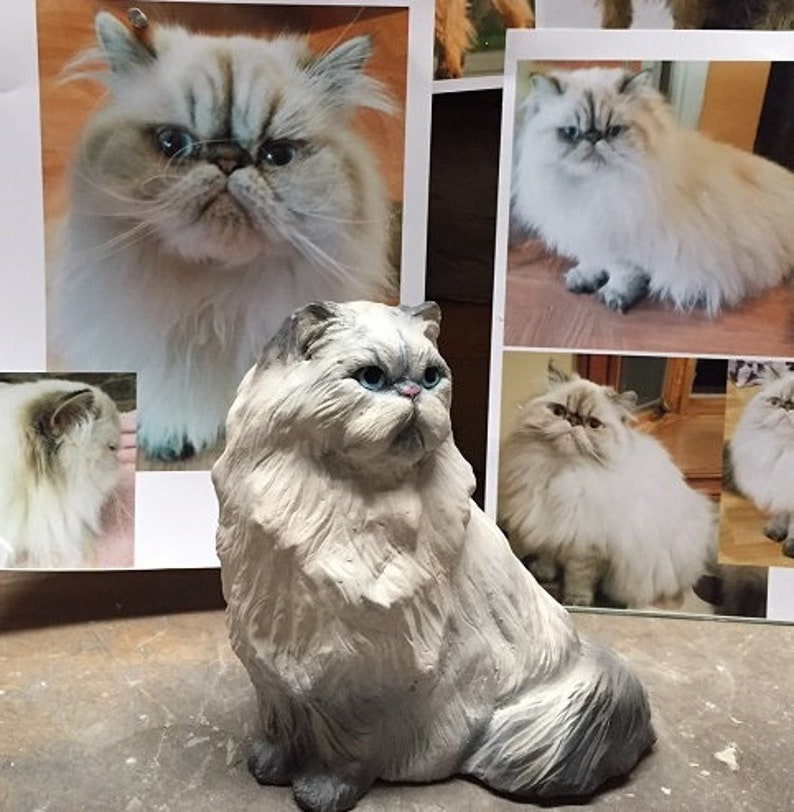 YOUR Persian Long Haired Snowshoe or Himalayan CUSTOM Cat Etsy