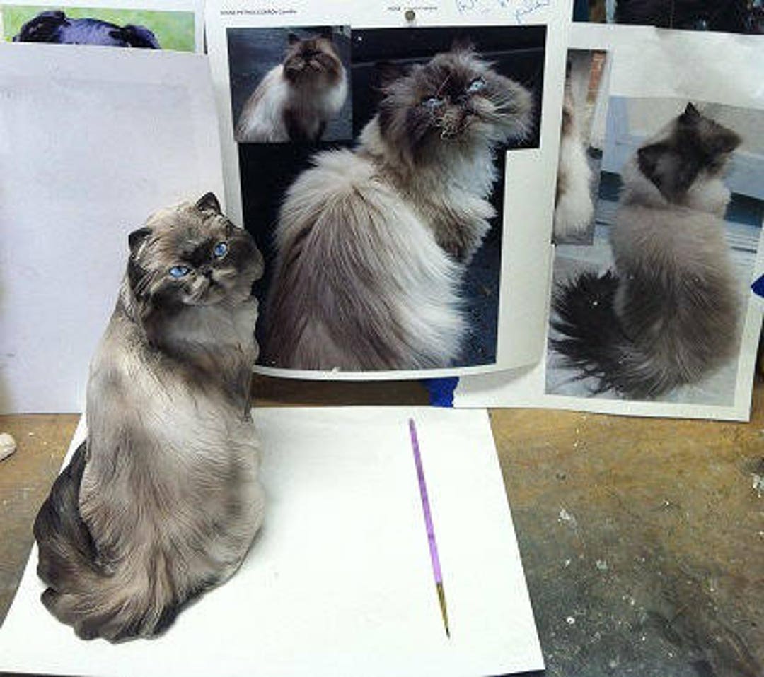 YOUR Persian Snowshoe or Himilayan Longhair CUSTOM Cat Etsy