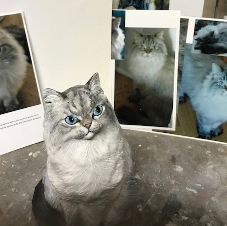 YOUR Persian Angora Snowshoe or Himilayan Longhair CUSTOM Etsy