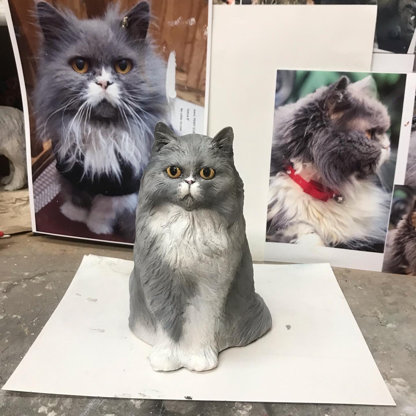 YOUR Persian Snowshoe or Himilayan Longhair CUSTOM Cat Etsy