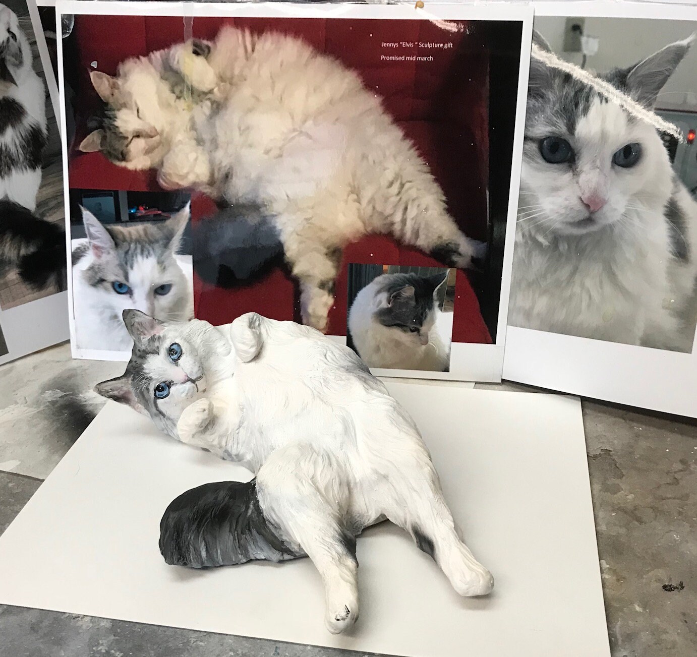 YOUR Persian Snowshoe or Himilayan Longhair CUSTOM Cat Etsy