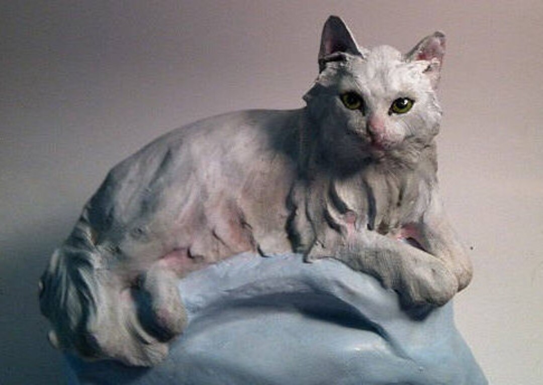 YOUR Persian Angora Snowshoe or Himilayan Longhair CUSTOM Etsy