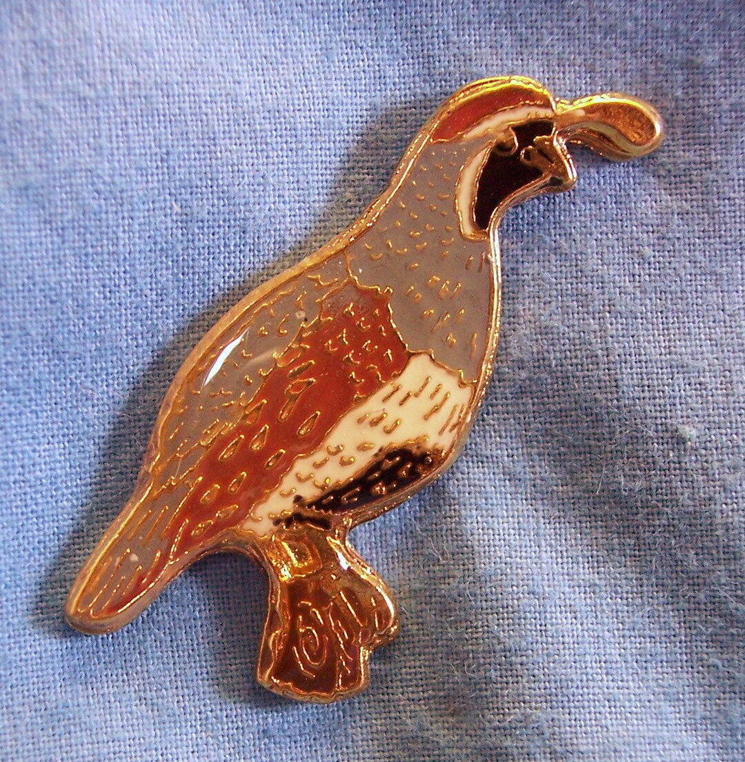Quail Pins, Gambels, Bobwhite, Scaled, Unique, Unisex Gifts, Gold Plate, Lead Nickel Free Etsy