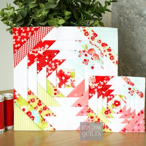 May include: Two pineapple quilt blocks with red floral and geometric patterns. The blocks are square, with a central floral design and surrounding strips of fabric in red, white, and green. The blocks are placed in front of a green plant.