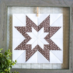 May include: A framed quilt block featuring a brown and white star design. The quilt block is hanging against a wire mesh background.