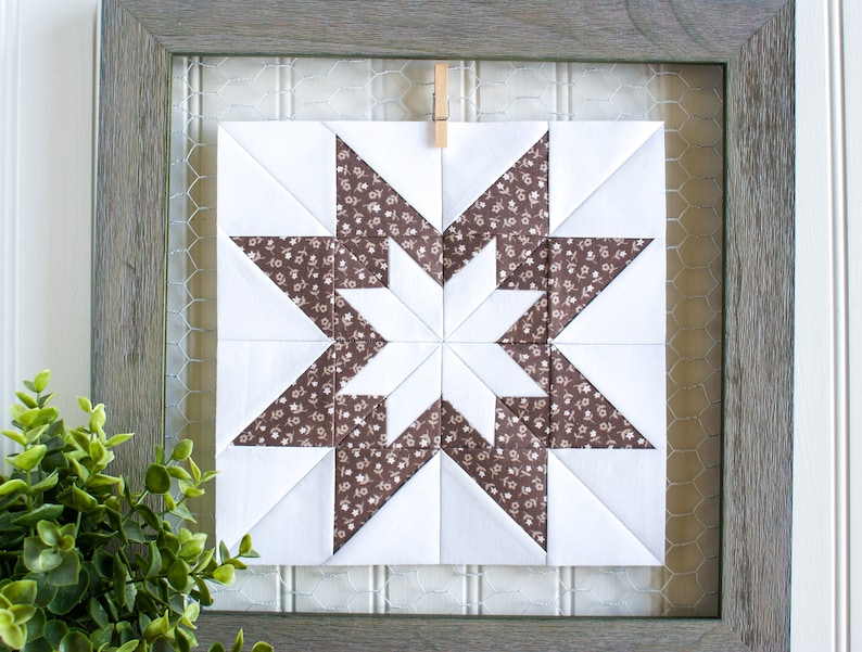 May include: A framed quilt block featuring a brown and white star design. The quilt block is hanging against a wire mesh background.