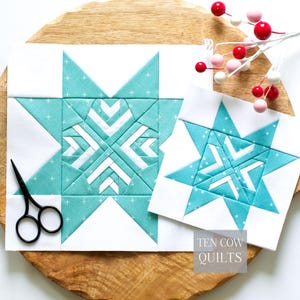 May include: Two square quilt blocks featuring a teal star pattern with white cross accents and white chevron details. The blocks are displayed alongside black scissors and a decorative sprig of red and white berries. Text reads Ten Cow Quilts.