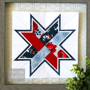 Puede incluir: Un bloque de edredón enmarcado con un diseño de estrella. La estrella está compuesta por telas estampadas con flores y geométricas rojas, azul marino y azul claro, sobre un fondo blanco. El marco es de color marrón claro y el texto "TEN COW QUILTS" es visible.
