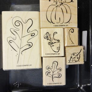 Fall Whimsy - Stampin' Up! Retired Wood Mount Rubber Stamp Set - Gently Used Excellent Condition Full Set