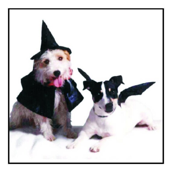 Costume Chauve-souris Pour Chat - Ailes En Feutrine, Style Gothique, Fêtes Halloween Noël, Ajustable (50x20 Cm) - 4