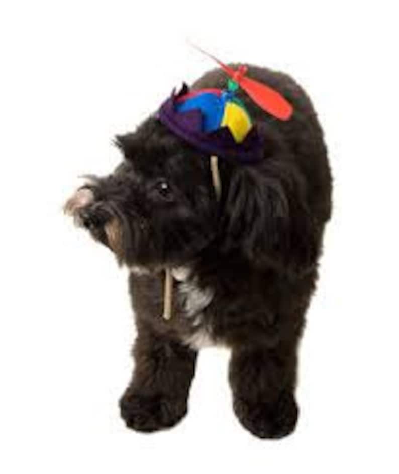 Beanie Beany Pets Dogs Cats Propeller Hats Multi Color Etsy
