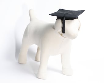 Boné de formatura para animais de estimação, cães, gatos, treinamento de obediência