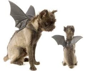 Fantasia de asas de morcego para animais de estimação; cães e gatos,